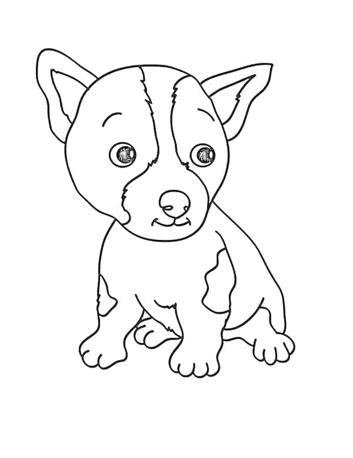 На раскраске изображено: Пёсик, Стоячие уши, Собака, Уши