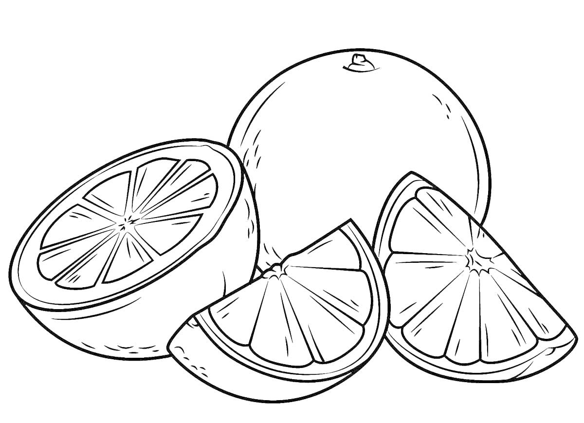 Раскраска Целый апельсин, половинка апельсина и две апельсиновые дольки