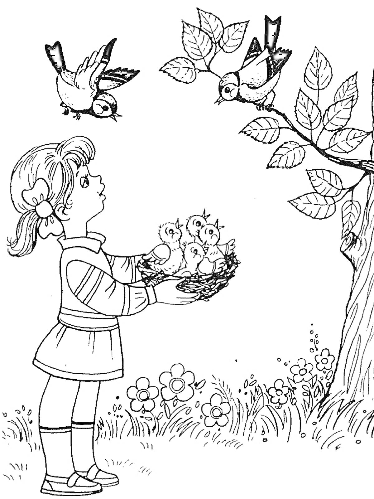 На раскраске изображено: Девочка, Гнездо, Листья, Цветы, Трава