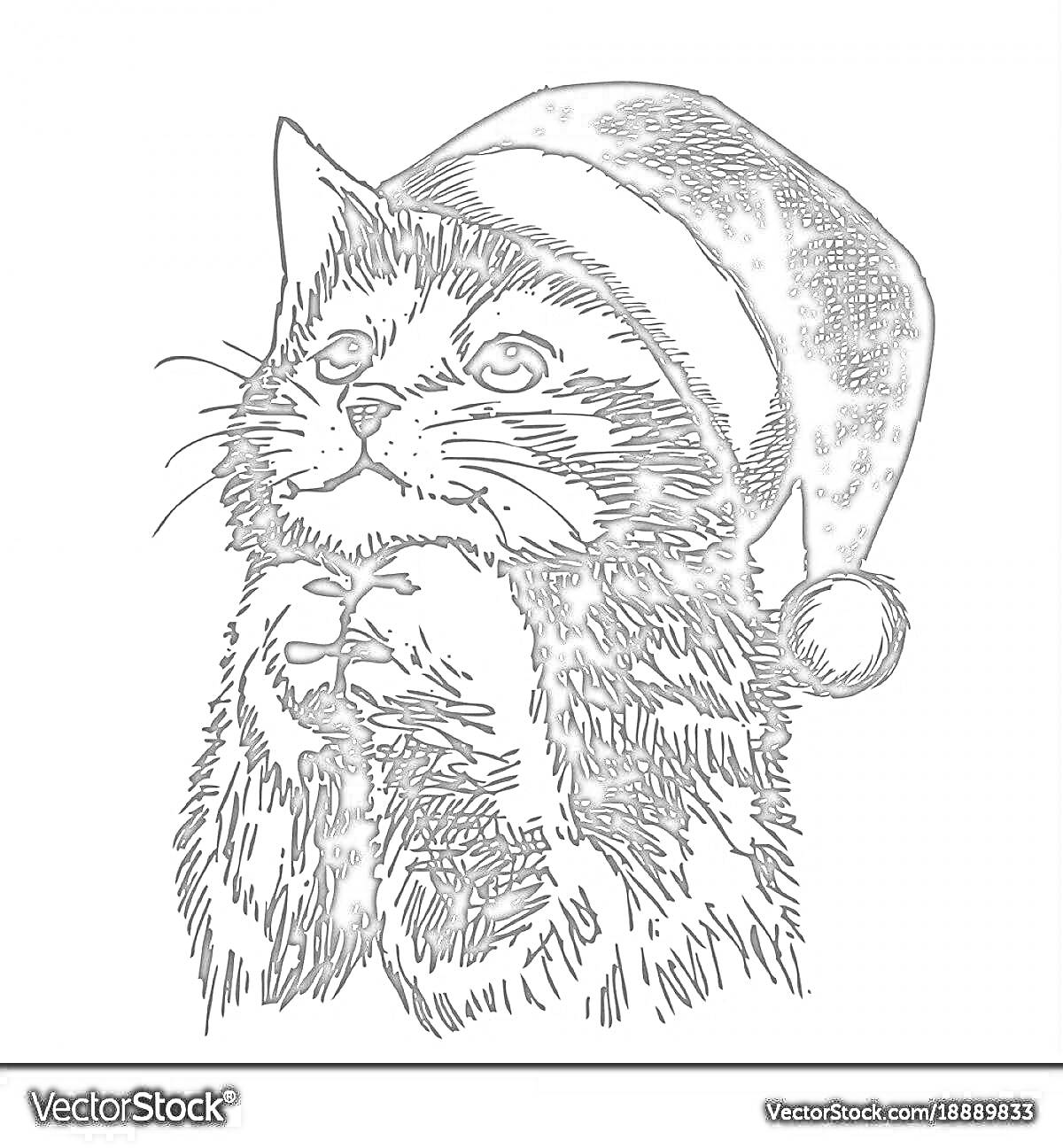 На раскраске изображено: Кот, Шапка, Новогодняя шапка, Лапы