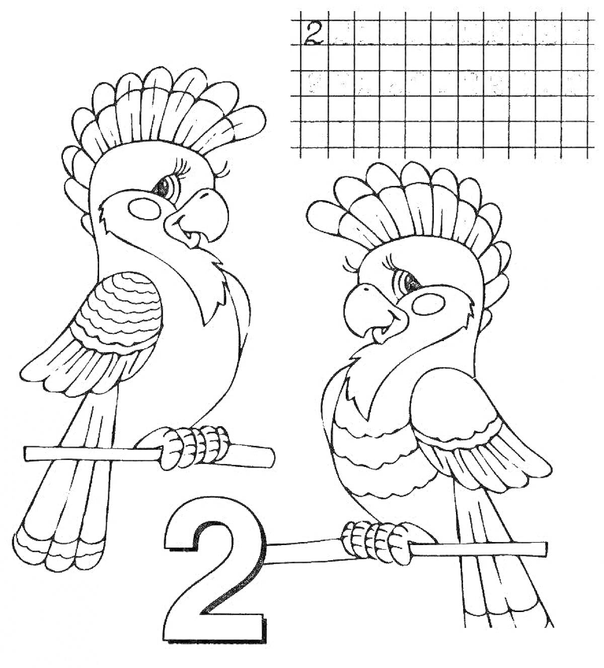 На раскраске изображено: Цифра 2, Попугаи, Обучение, Цифры, Сетка