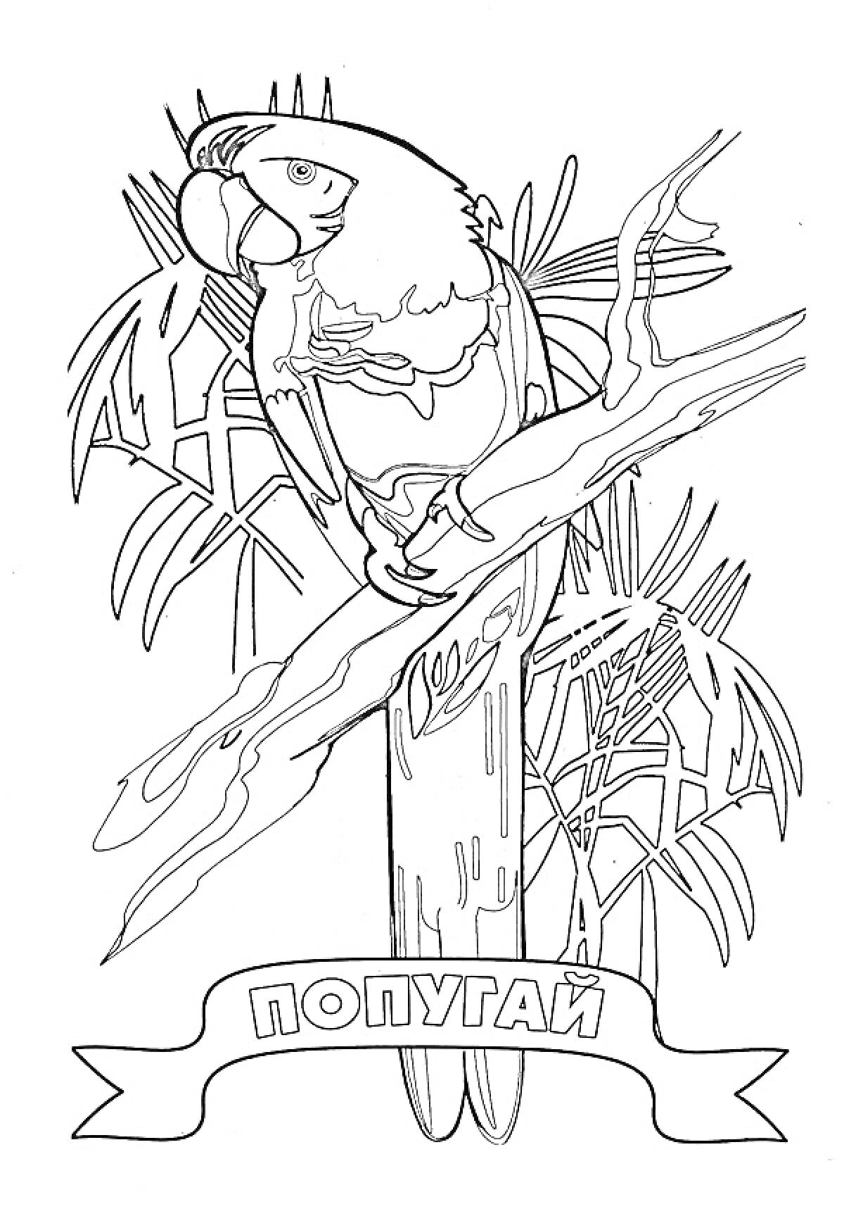 Раскраска Попугай на дереве с пальмовыми листьями на фоне