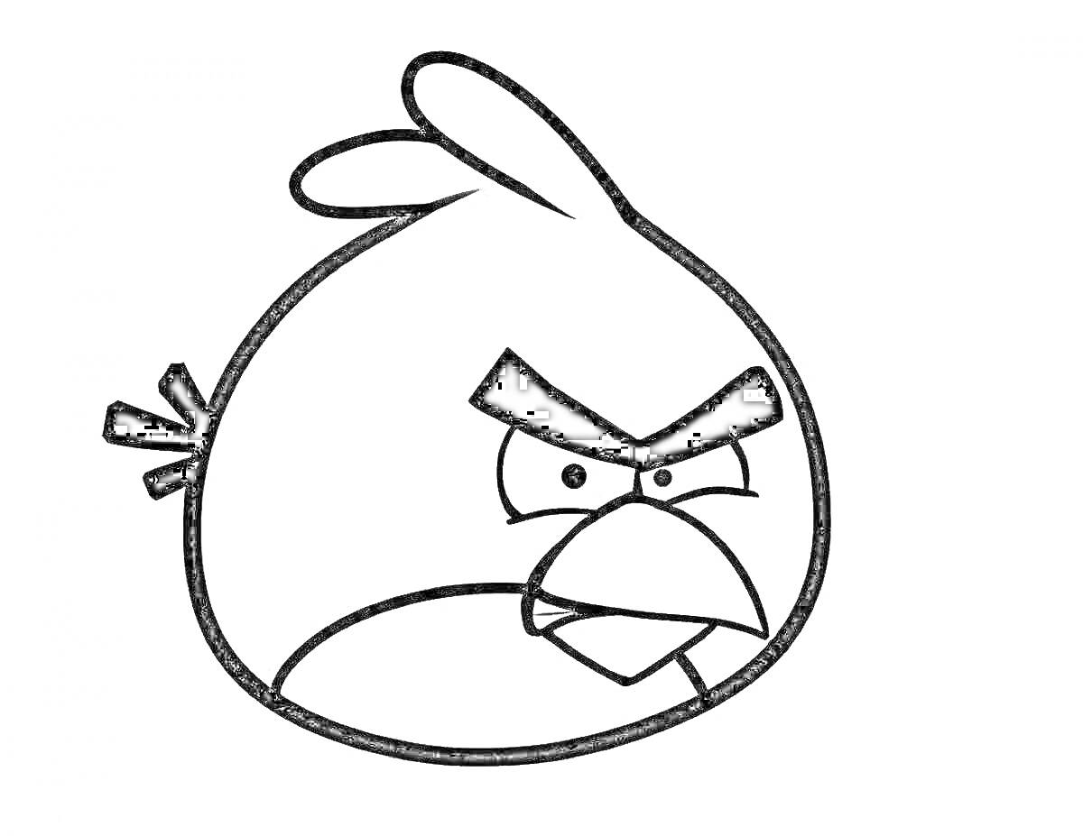 На раскраске изображено: Птица, Злость, Сердитое лицо, Игра