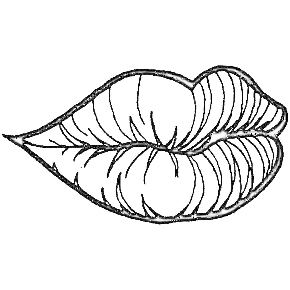 Раскраска Поцелуйные губы, контур с прожилками, вид сбоку