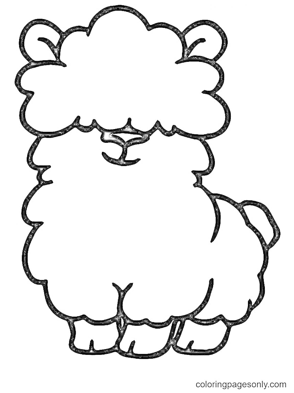 Раскраска Овца с пушистой шерстью