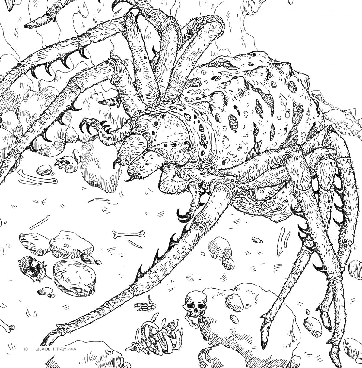 Раскраска Гигантский паук в пещере с костями и черепами на земле
