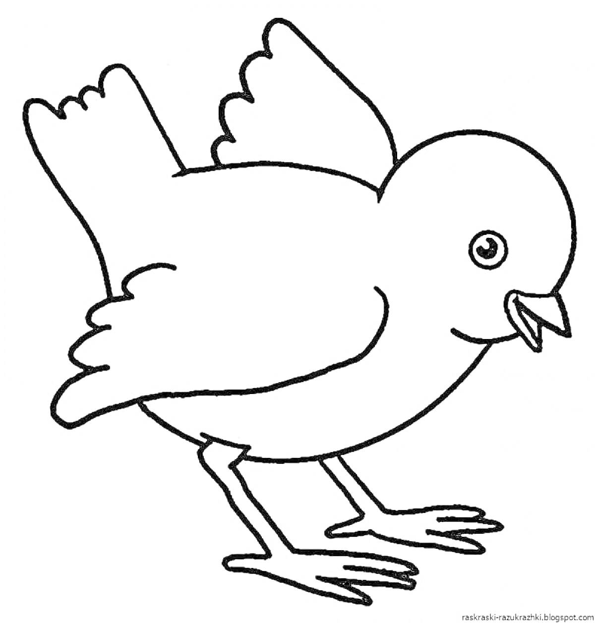 Раскраска Птичка с расправленными крылышками и открытым клювом