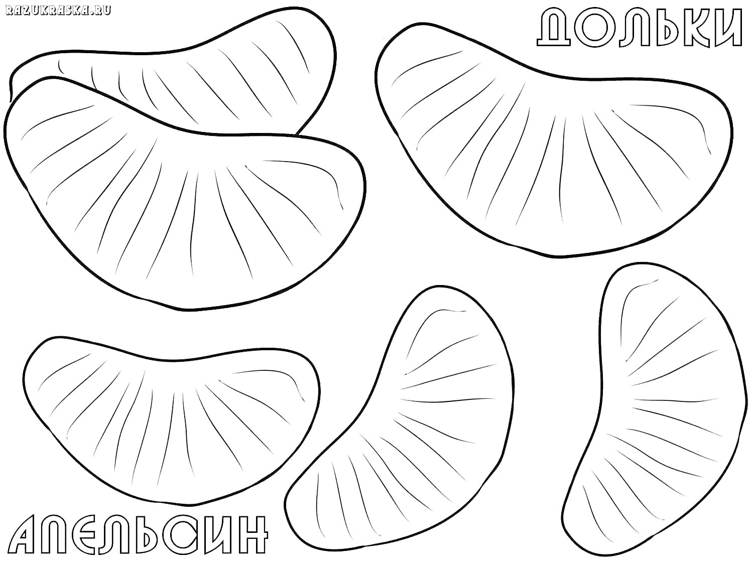 Раскраска Дольки апельсина - пять дольек с надписями 