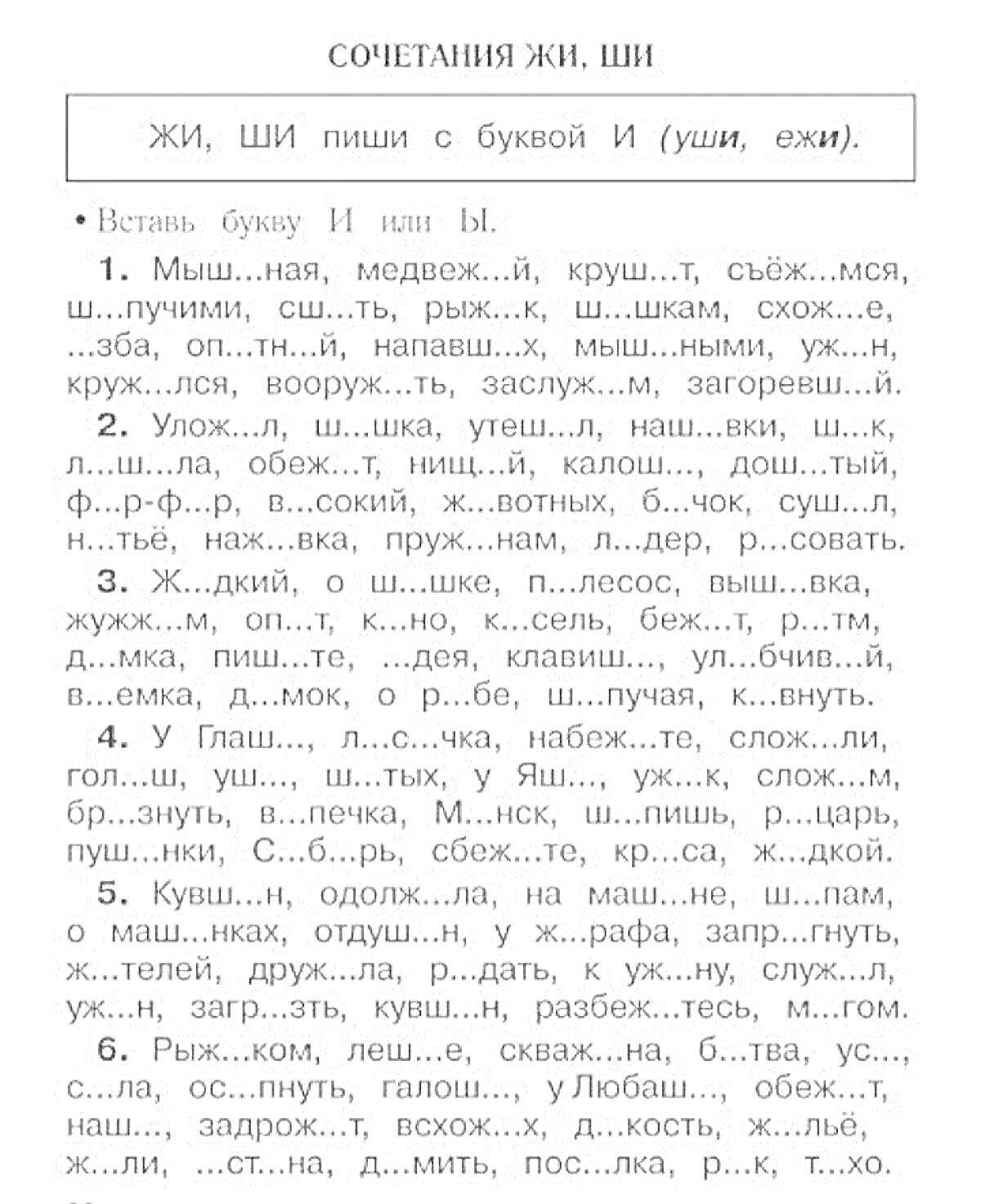 Раскраска Сочетания ЖИ, ШИ. ЖИ, ШИ пиши с буквой И (ужи, ежи)