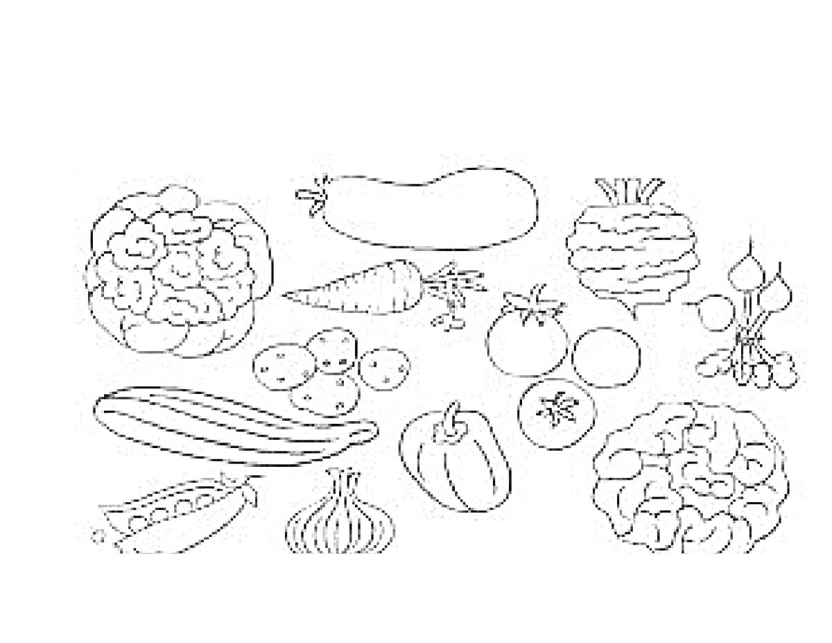 Раскраска Разнообразные овощи (баклажан, цветная капуста, морковь, картофель, капуста, помидоры, репа, горох, лук, перец, капуста)