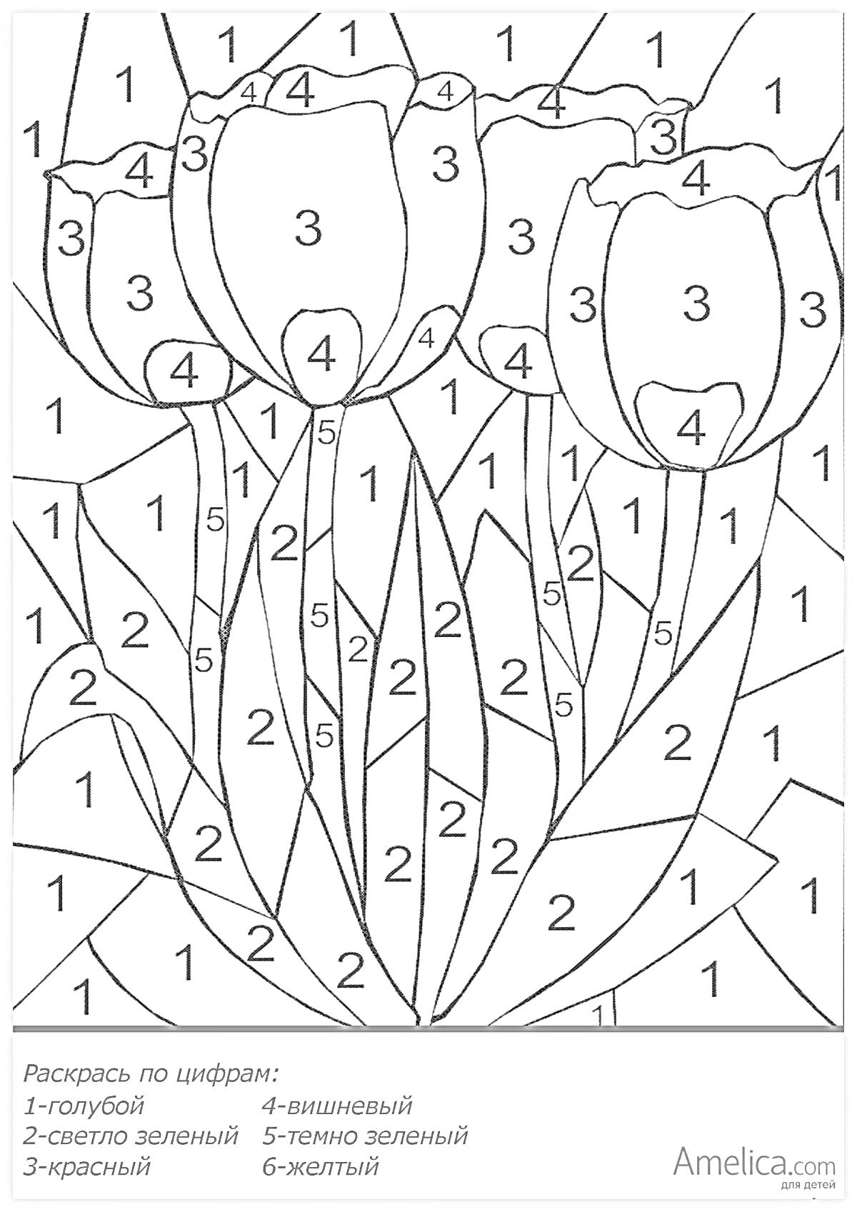 Раскраска Раскраска по цифрам с тремя тюльпанами
