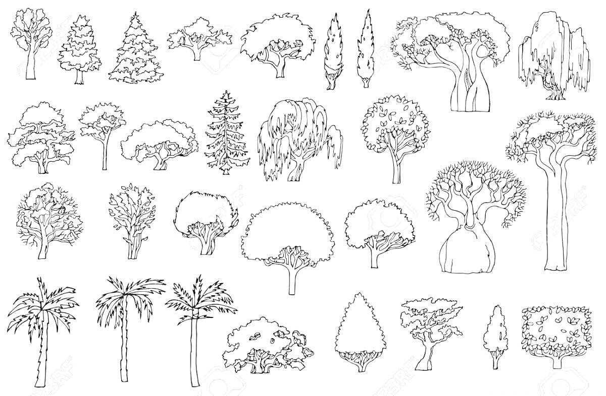 Раскраска Разнообразные кустарники и деревья. Включает различные виды кустарников и деревьев, таких как хвойные деревья, лиственные деревья, пальмы, топиарии и фикус.