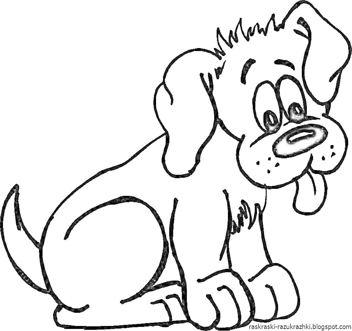 Раскраска Сидящая собака с высунутым языком