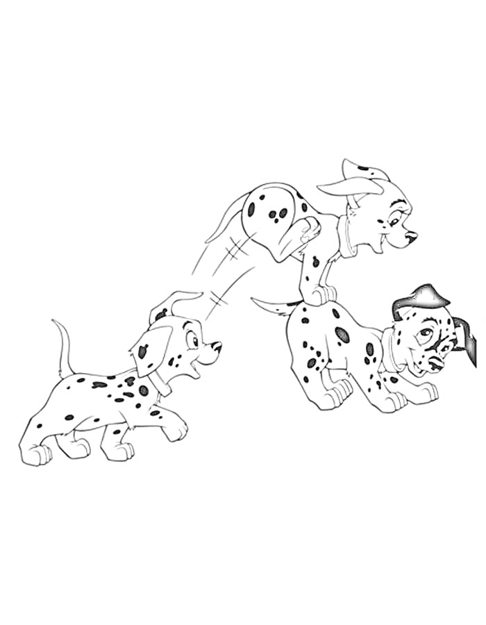 Раскраска Три щенка далматинца играют вместе