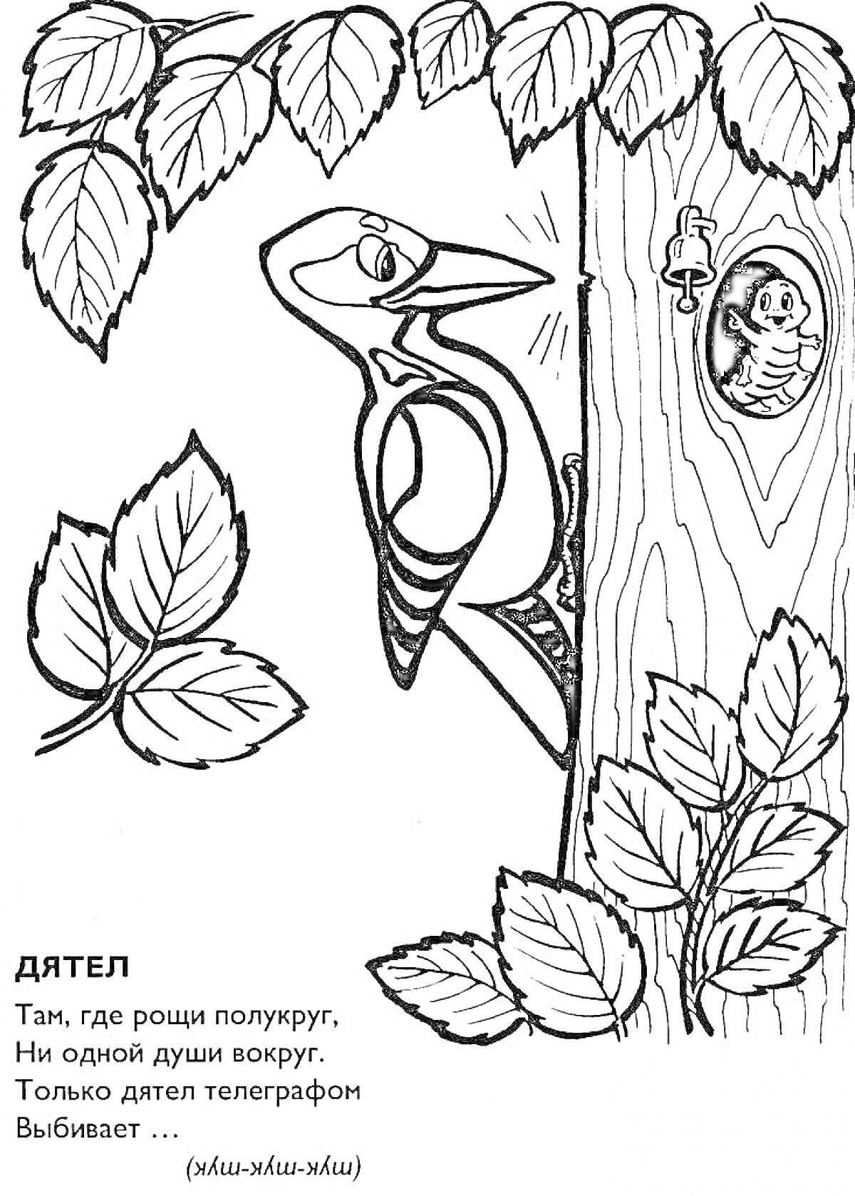 Раскраска Дятел на дереве с листвой и гусеницей