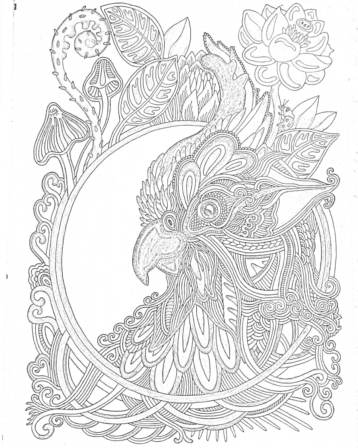 Раскраска Птица в окружении листьев, грибов и цветка