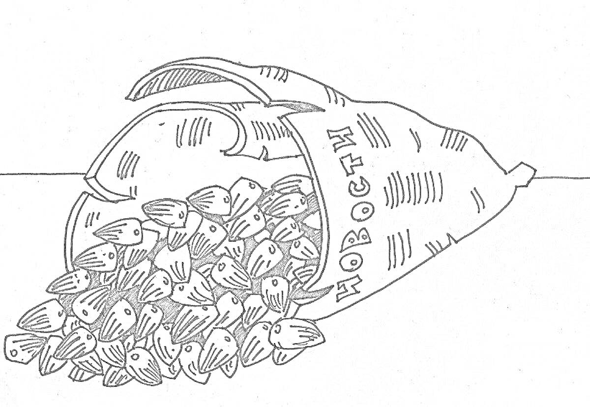Раскраска Семечки в газетном пакете