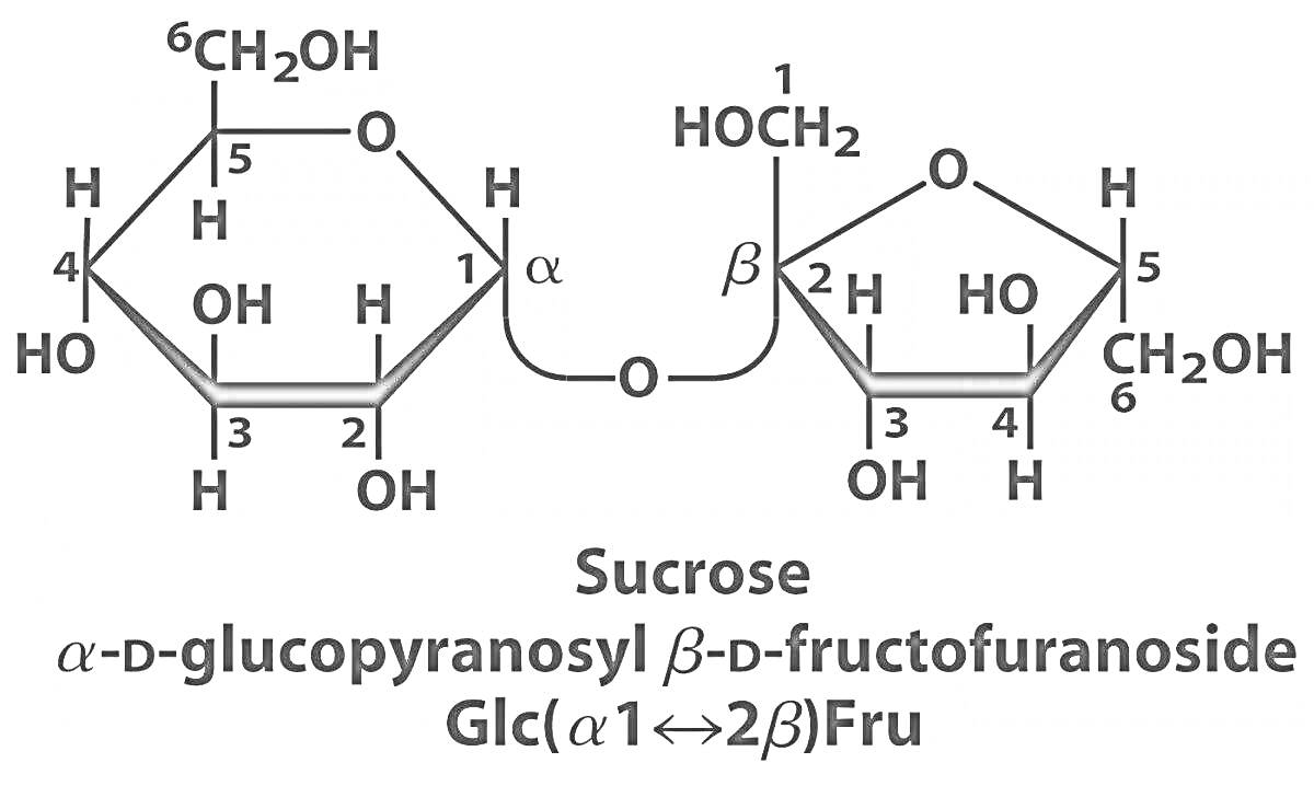 Структурная формула сахарозы с указанием альфа-D-глюкопиранозила и бета-D-фруктофуранозида, а также обозначенный гликозидный мостик