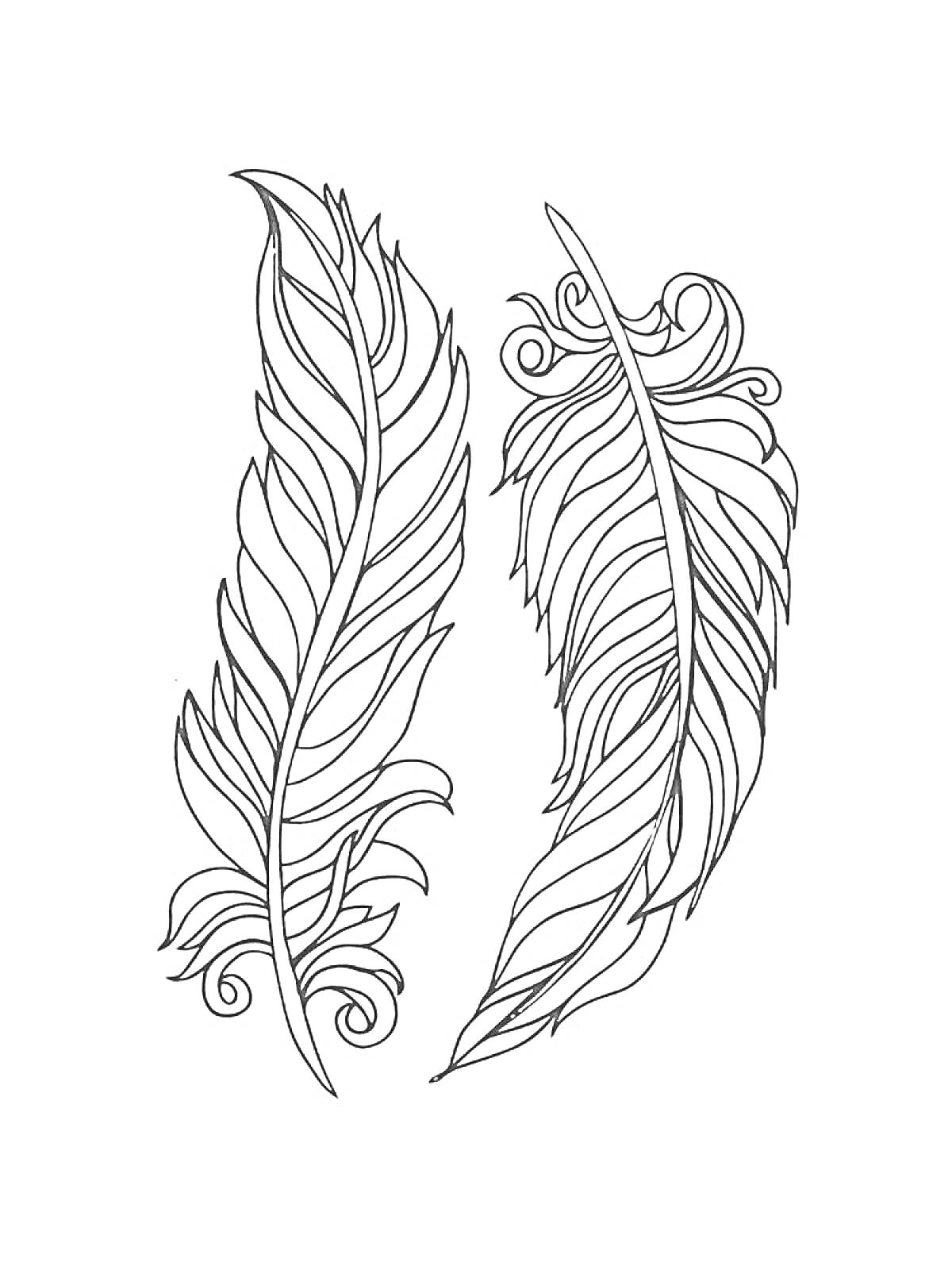 Раскраска Пара декоративных перьев в черно-белом стиле