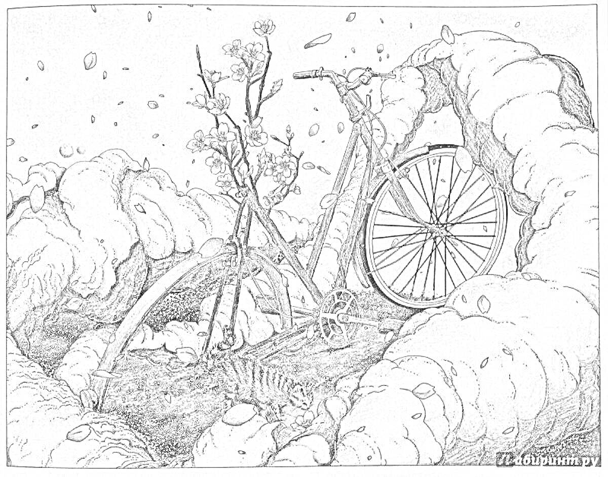 На раскраске изображено: Велосипед, Зима, Снег, Кусты, Колеса, Природа, Путешествия