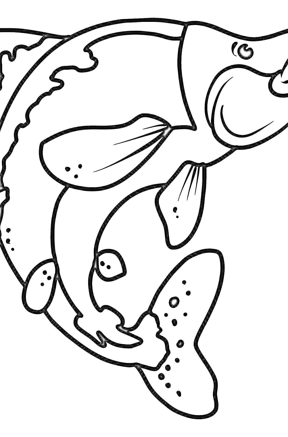 На раскраске изображено: Рыба, Морская жизнь, Чешуя, Для детей, Животные, Контурные рисунки, Плавники