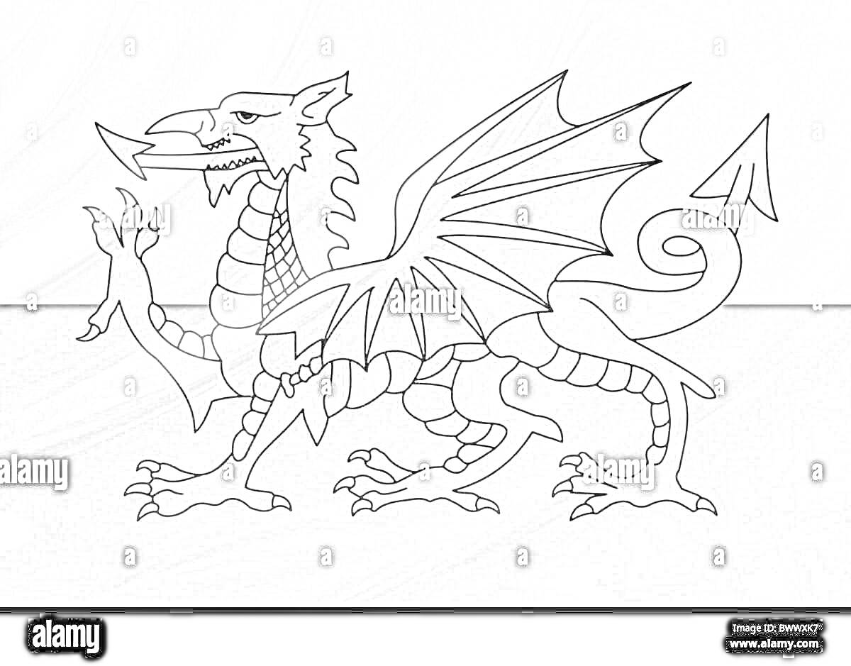 Раскраска с изображением флага Уэльса с драконом на фоне двухцветного полотнища
