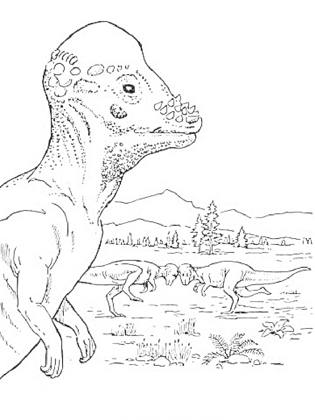 На раскраске изображено: Пахицефалозавр, Природа, Схватка, Горы, Лес, Доисторический пейзаж
