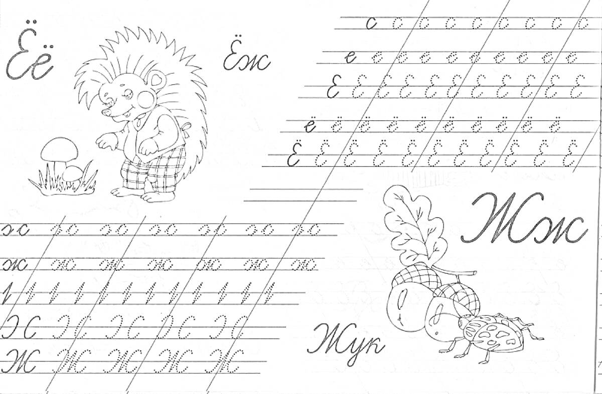 Раскраска Прописи с изображениями ёжика, грибов, жука и жучков, буквы Ё и Ж