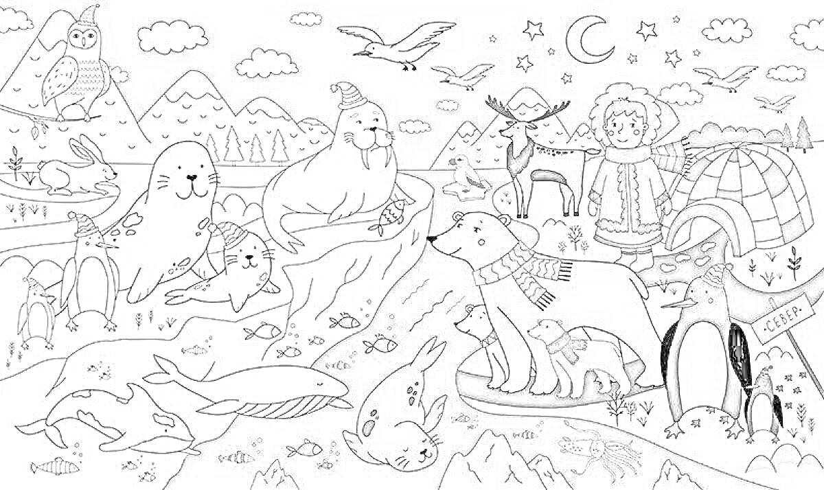 На раскраске изображено: Арктика, Нарвал, Белый медведь, Сова, Ребёнок, Человек, Зимняя одежда, Иглу, Природа, Снежный пейзаж, Облака, Луна, Звезды, Горы, Для детей, Животные, Пингвины