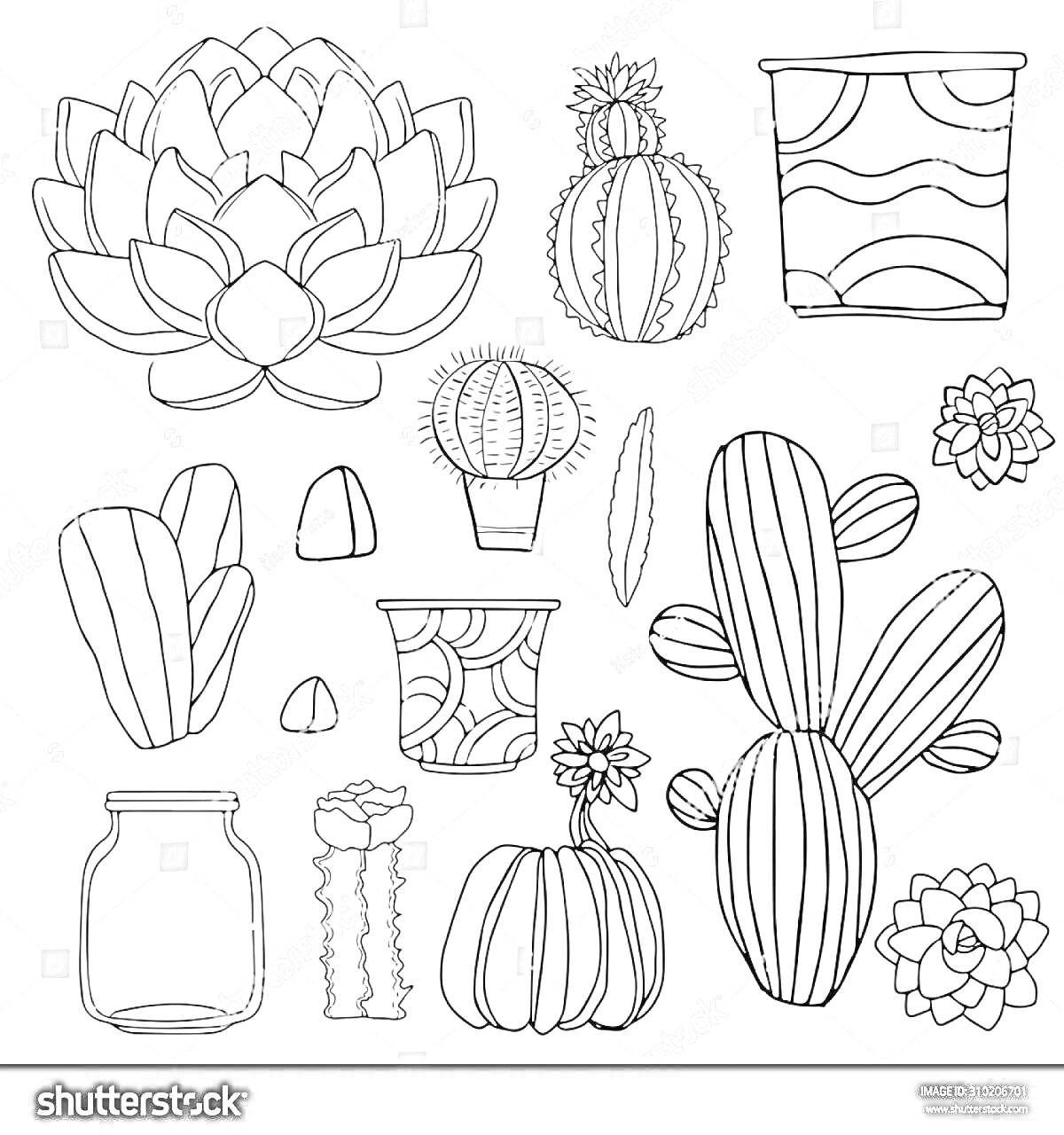 На раскраске изображено: Суккуленты, Кактусы, Растения, Горшки, Рисунки для детей, Контурные рисунки