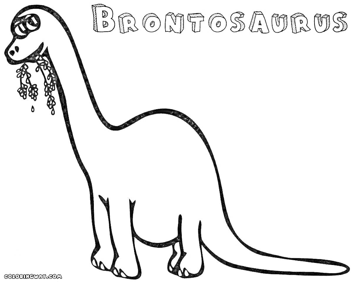 Раскраска бронтозавр с надписью 