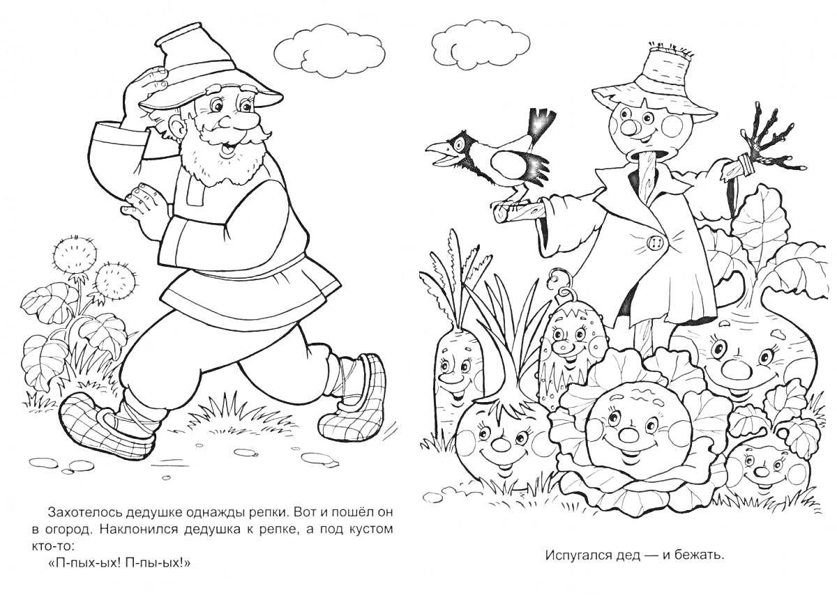 На раскраске изображено: Дед, Овощи, Свекла, Морковь, Лук, Капуста, Редис, Облака