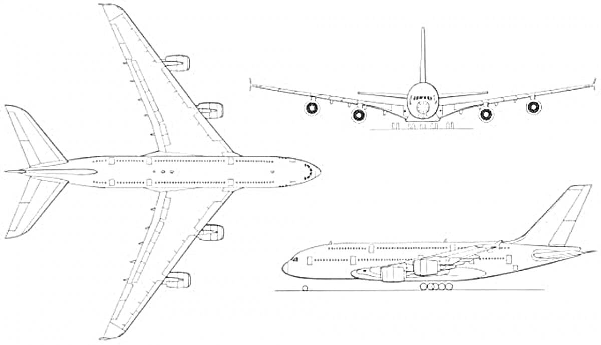Раскраска Чертеж аэробуса в трех проекциях (сверху, спереди и сбоку)