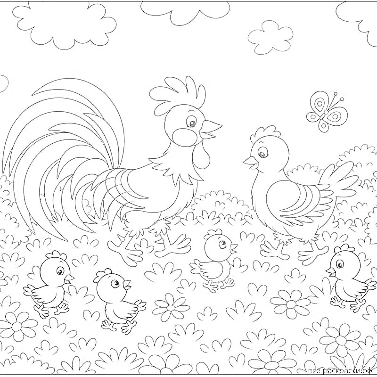 На раскраске изображено: Петух, Цыплята, Бабочка, Цветы, Трава, Облака, Природа