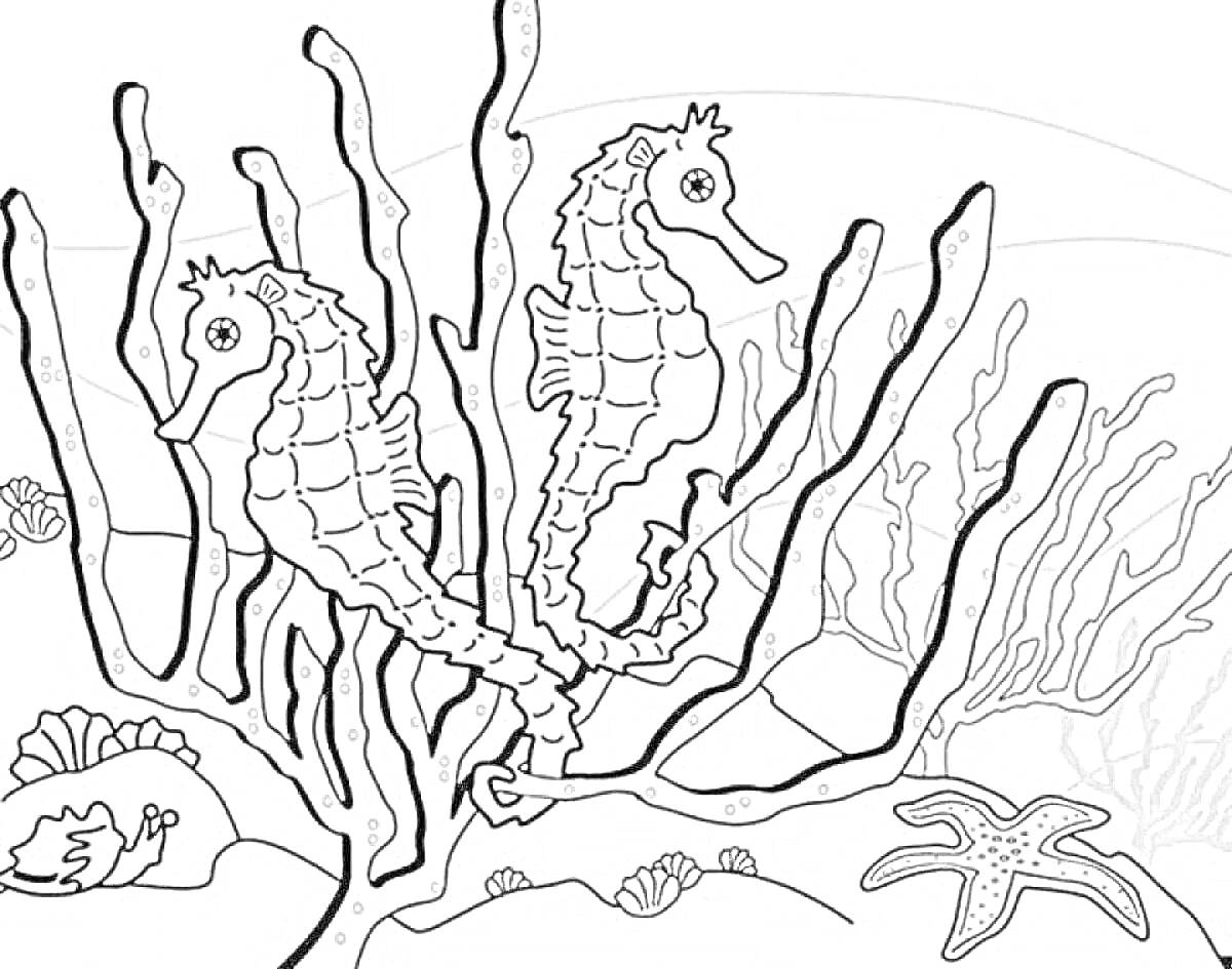 Раскраска Морские коньки среди кораллов с морскими звездами и моллюсками