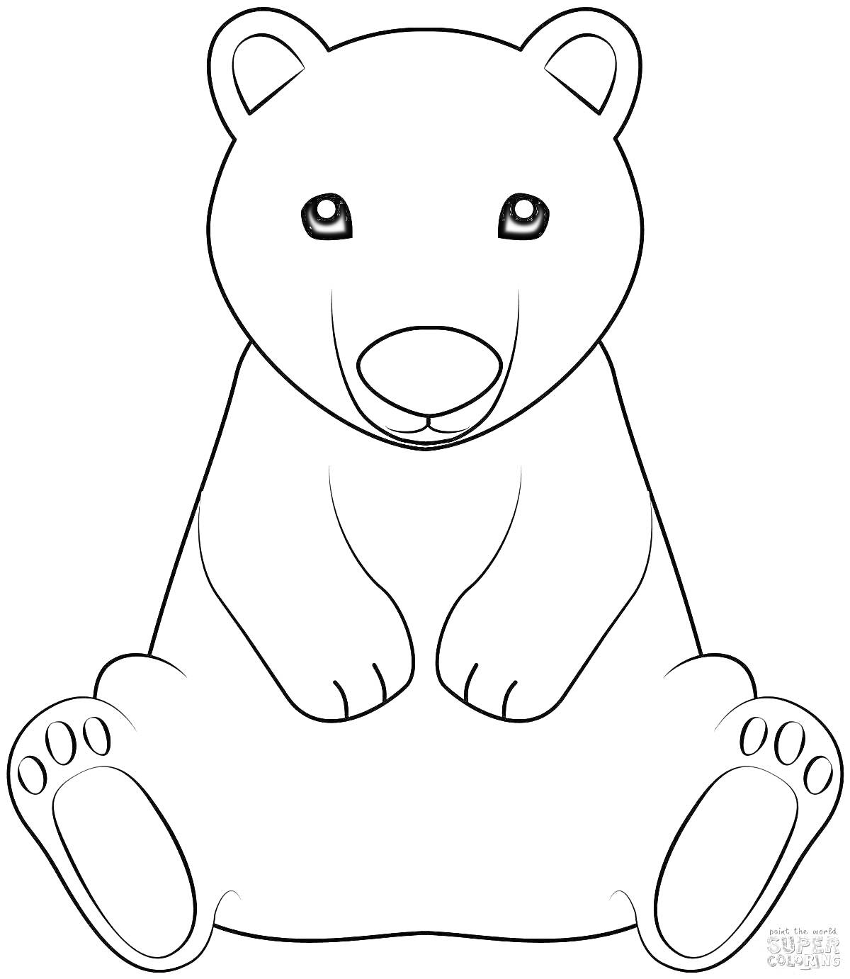 На раскраске изображено: Медведь, Лапы, Уши, Сидящий медведь
