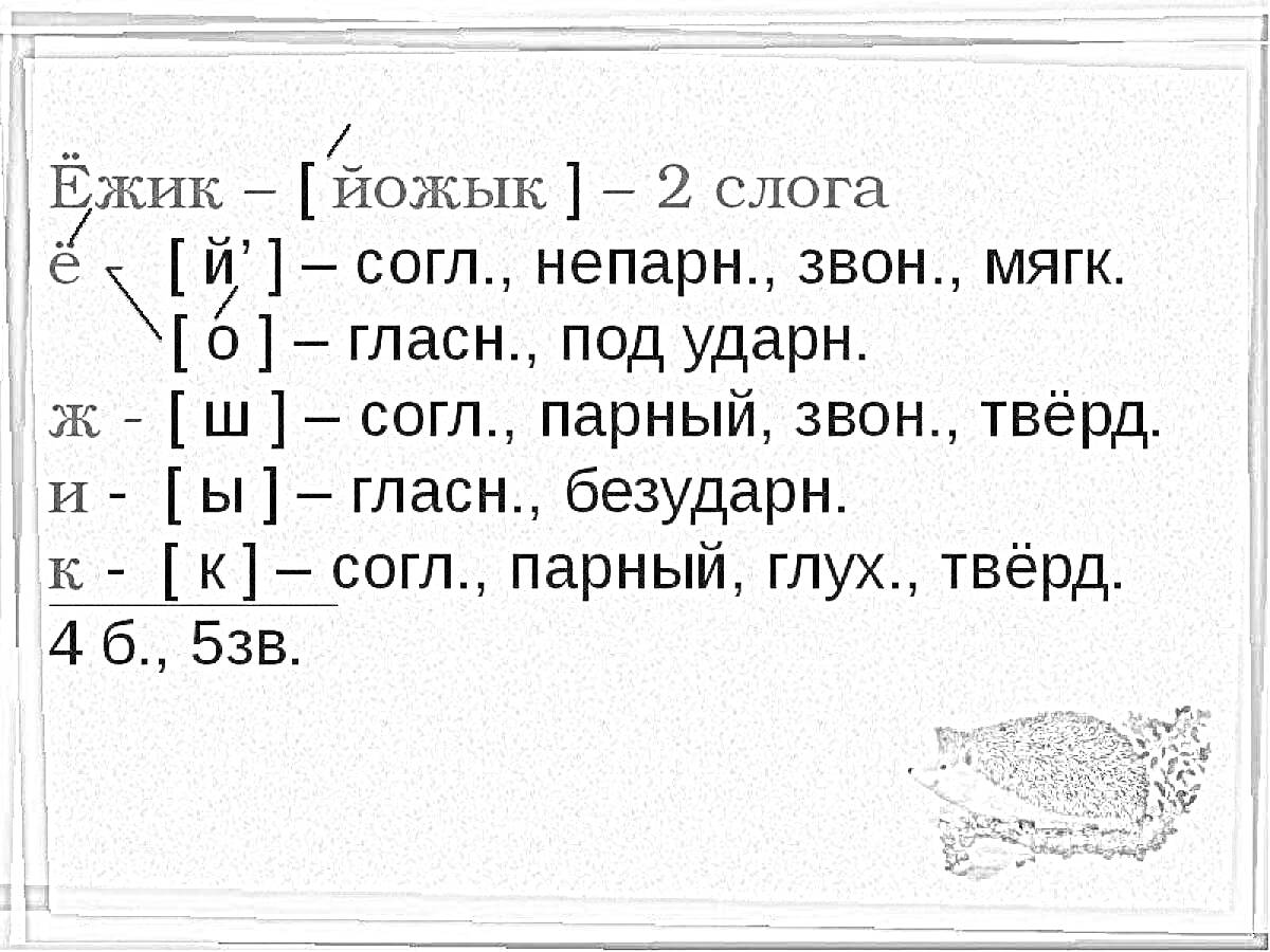 На раскраске изображено: Фонетический разбор, Буквы, Слоги, Согласные, Гласные, Звуки, Русский язык