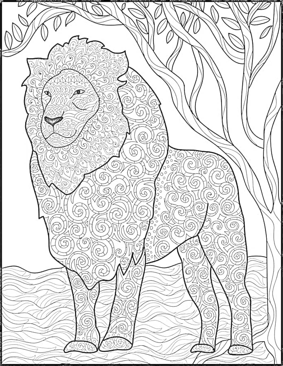 На раскраске изображено: Лев, Узоры, Природа, Африка