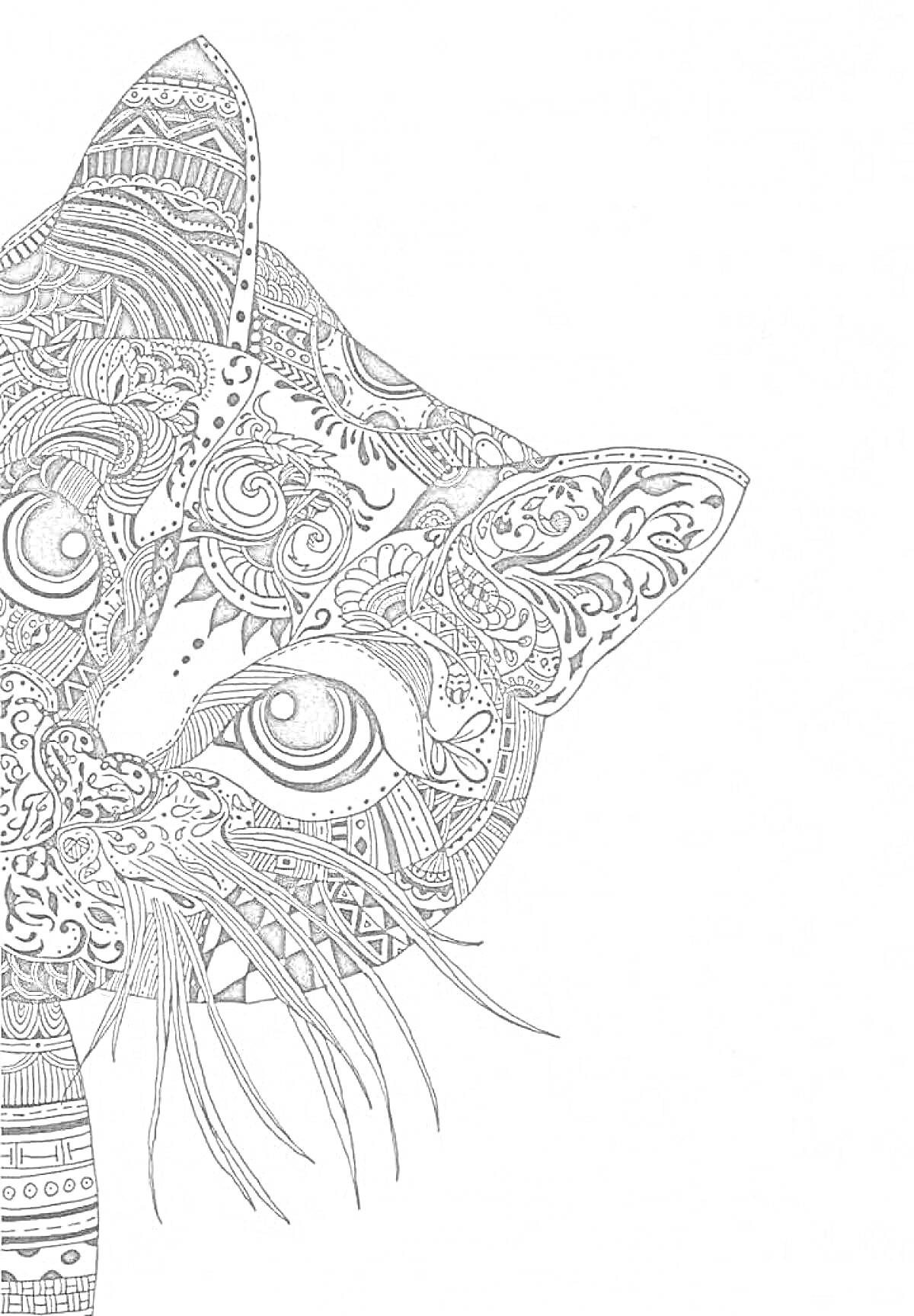 Раскраска Половина головы кота со сложным орнаментом, включающим цветы, волнистые линии и узоры