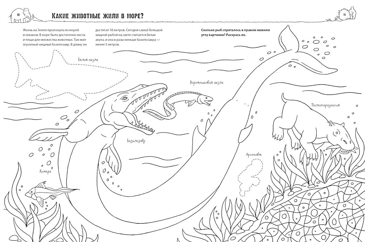 Раскраска Морские динозавры: акула, мозазавр, ихтиозавр, кетцалькоатль, плиозавр, лиоплевродон