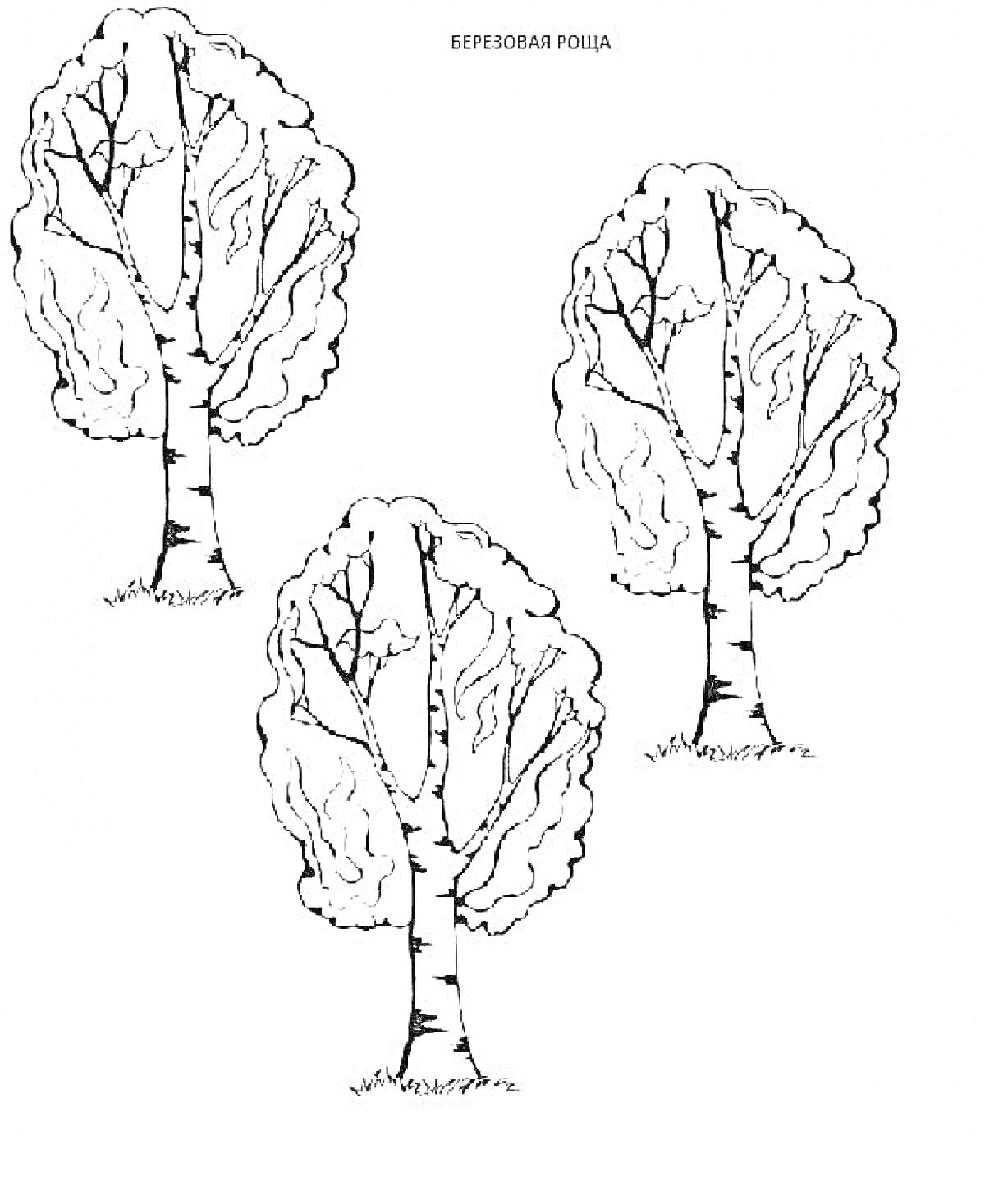 Раскраска Березовая роща с тремя березами