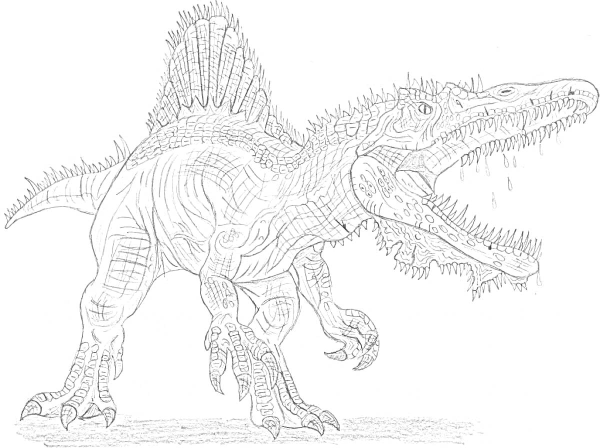 Раскраска Спинозавр с открытой пастью и выпущенными когтями