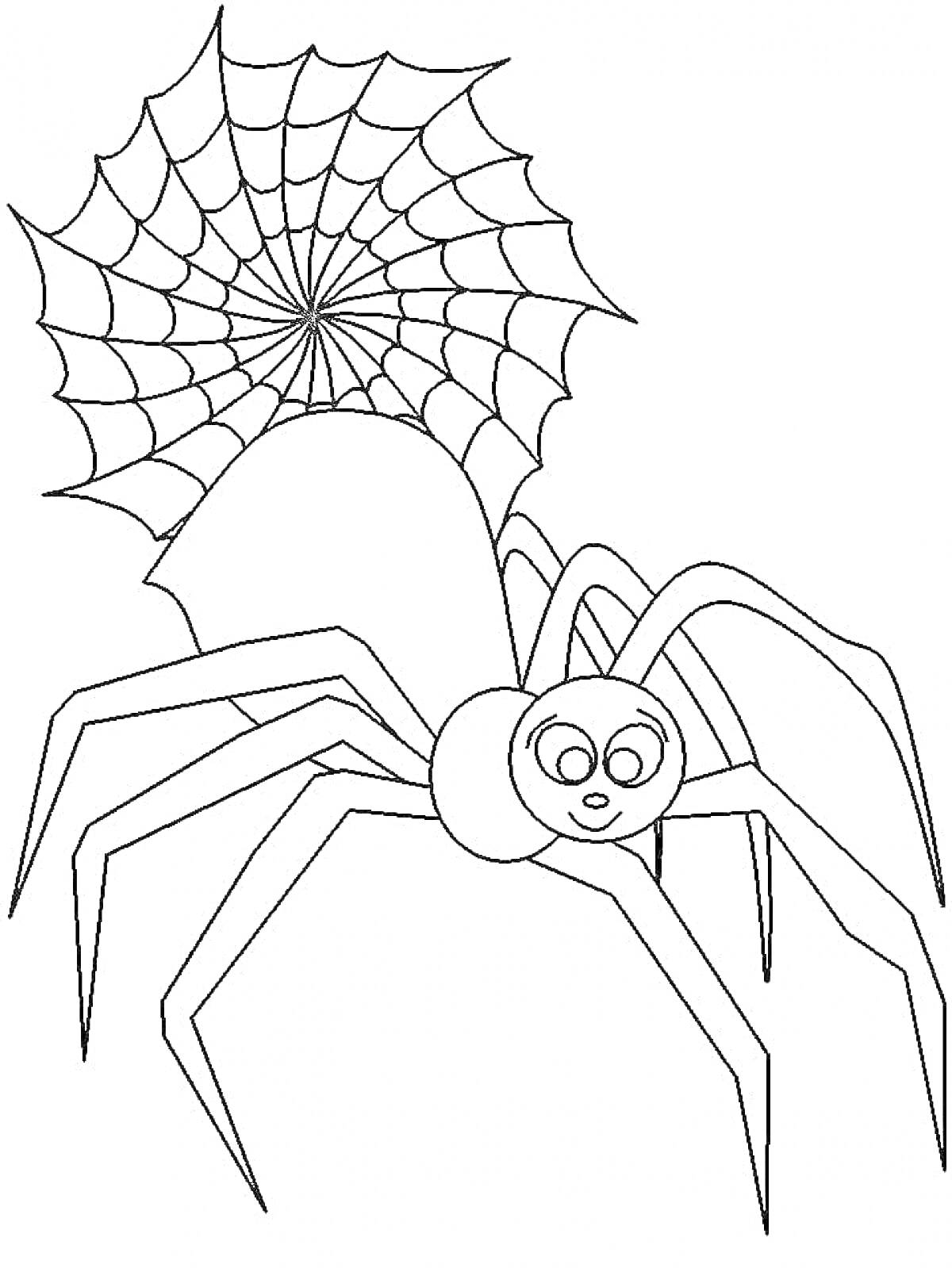 Раскраска Паук с паутиной