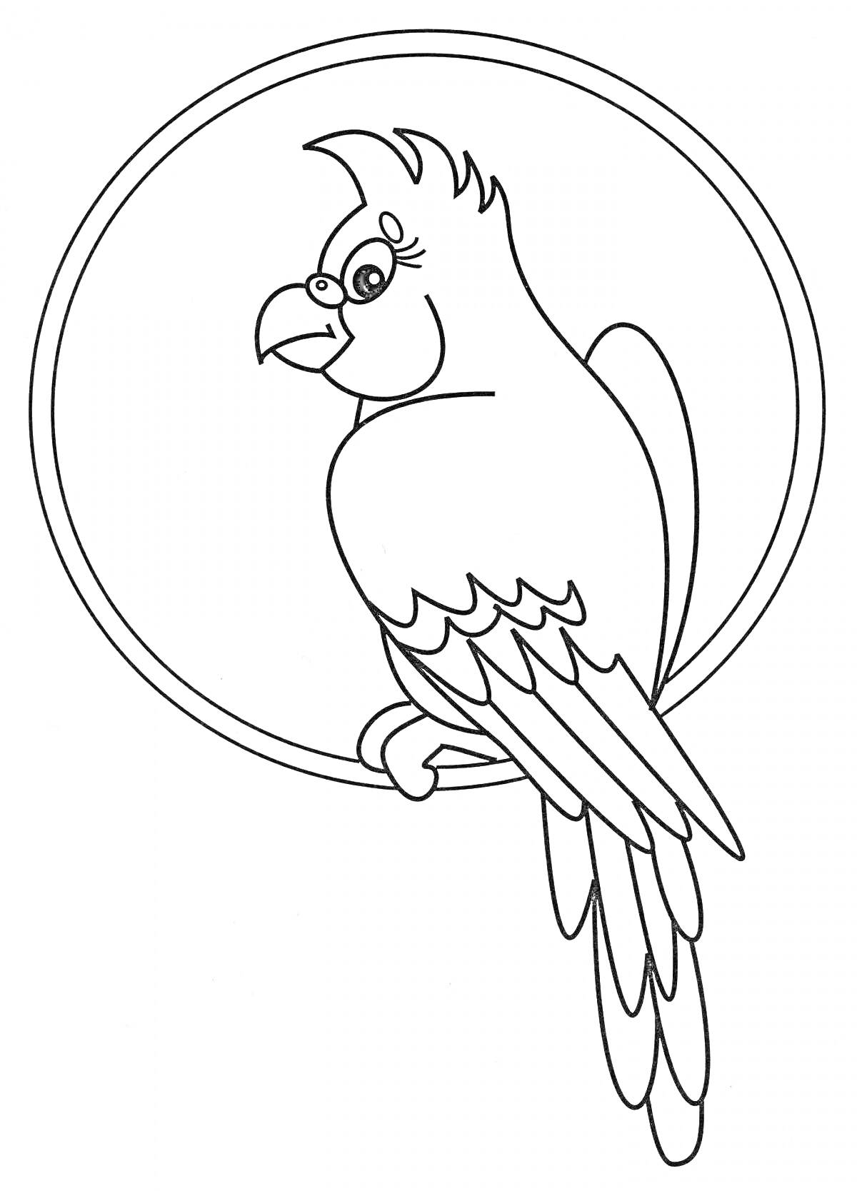 Раскраска Попугай сидящий на кольце в профиль