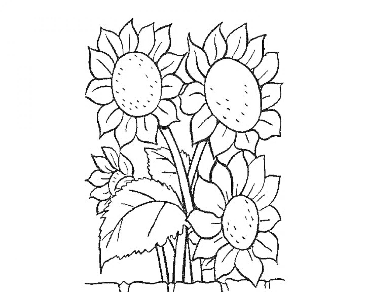 На раскраске изображено: Подсолнухи, Цветы, Листья, Клумба, Гуашь