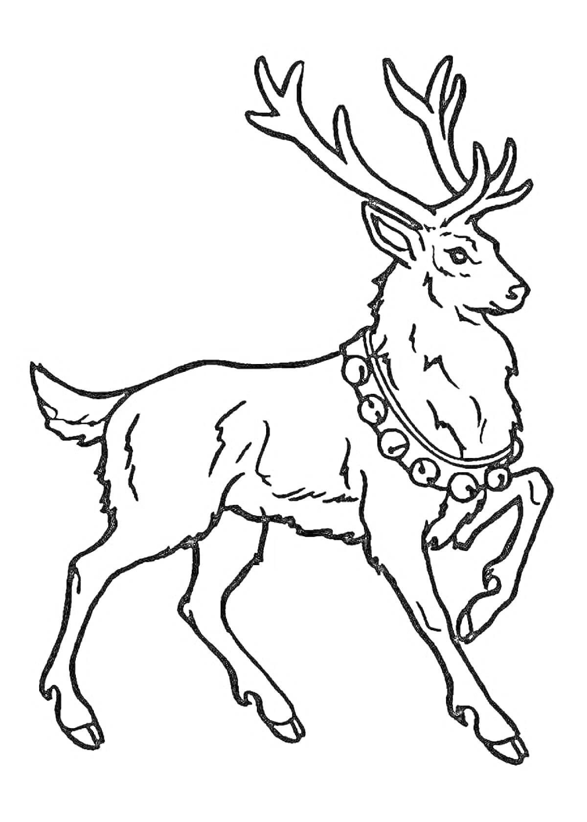 Раскраска Новогодний олень с рожками и колокольчиками