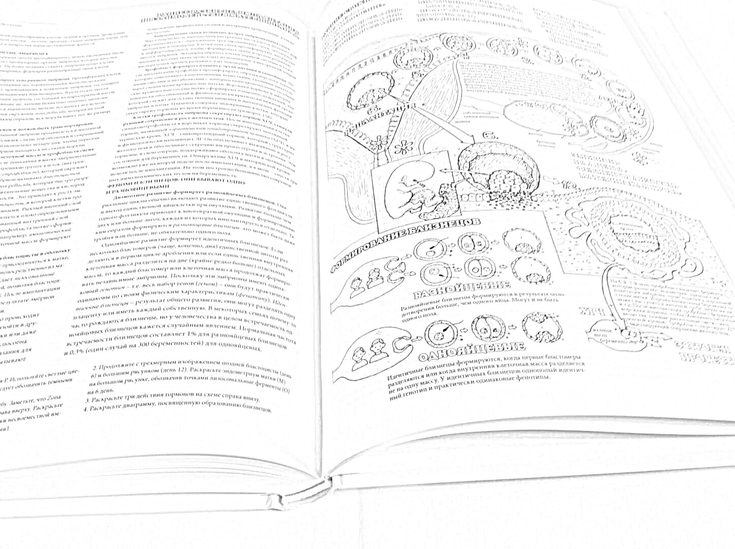 На раскраске изображено: Физиология, Атлас, Клеточная структура, Биология, Учебник