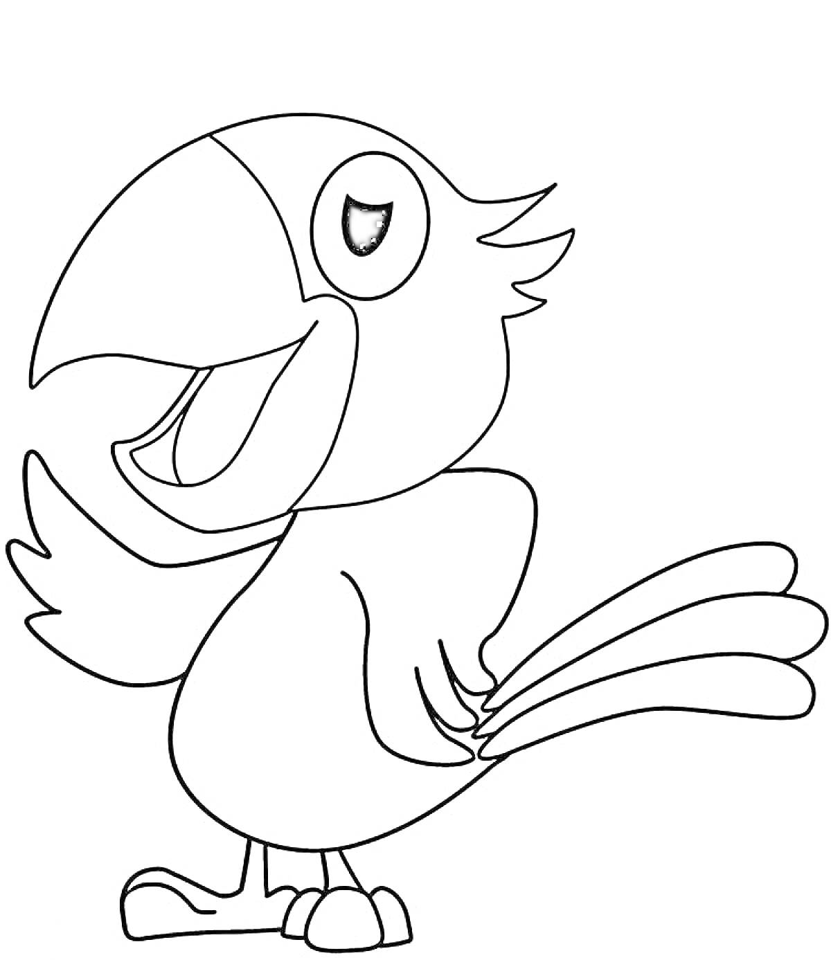 Раскраска Раскраска - попугай с поднятым крылом, улыбкой и хвостом из трех перьев