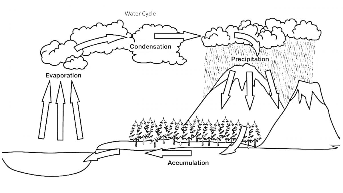 Раскраска Круговорот воды в природе с элементами: испарение, конденсация, осадки, скопление воды, горы, облака, деревья, вода, стрелки