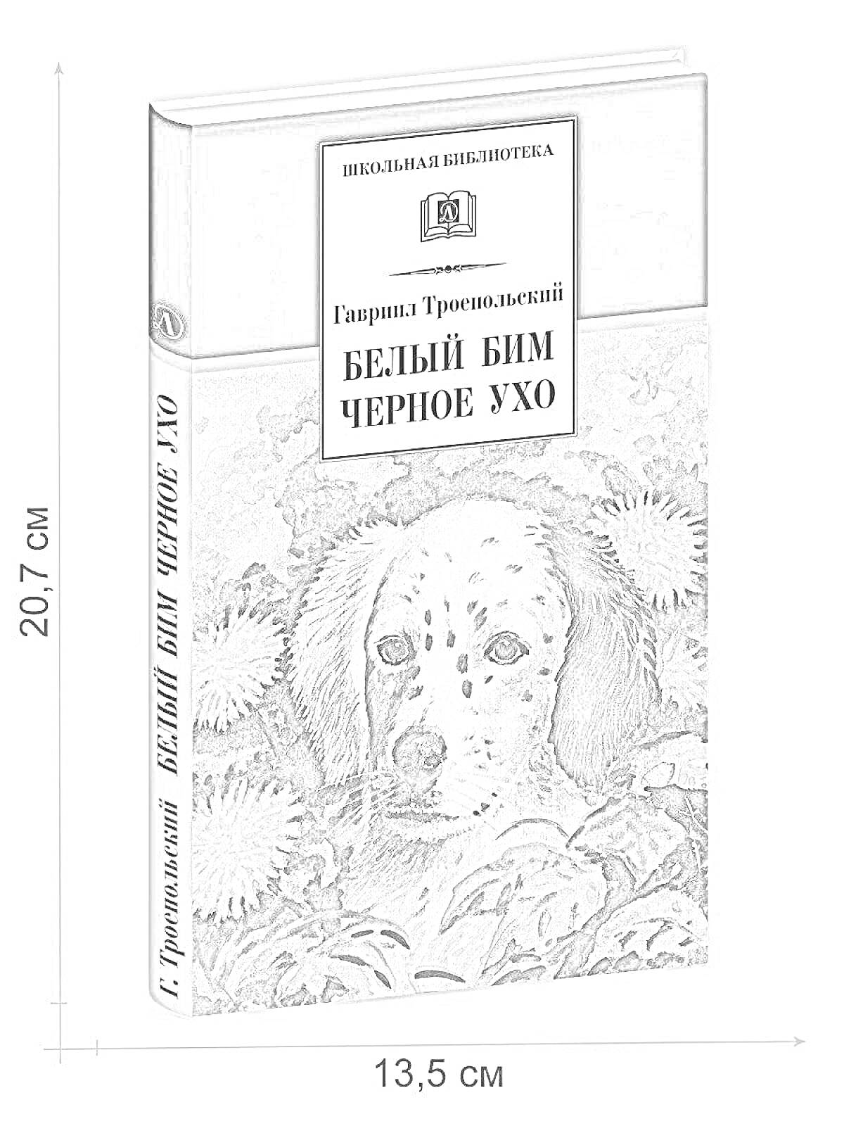 Раскраска Обложка книги 